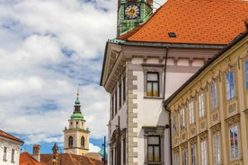 Ljubljana: 2.5h walking tour with local guide