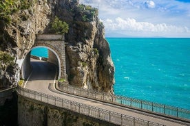 Transfert de la côte à Naples avec visite à Herculanum.