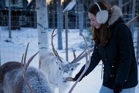 Arctic Reindeer Visit with Traditional Kota Lunch