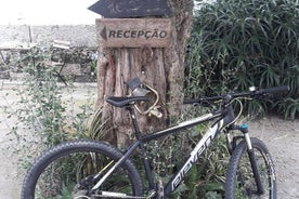 Location de VTT pour piste cyclable ancienne voie ferrée à Famalicão