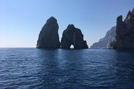 Capri og Blue Grotto ved Gozzo Båd og Anacapri fra Napoli