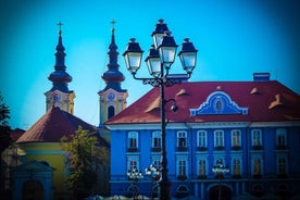 From Sibiu: Timisoara Highlights Day Trip