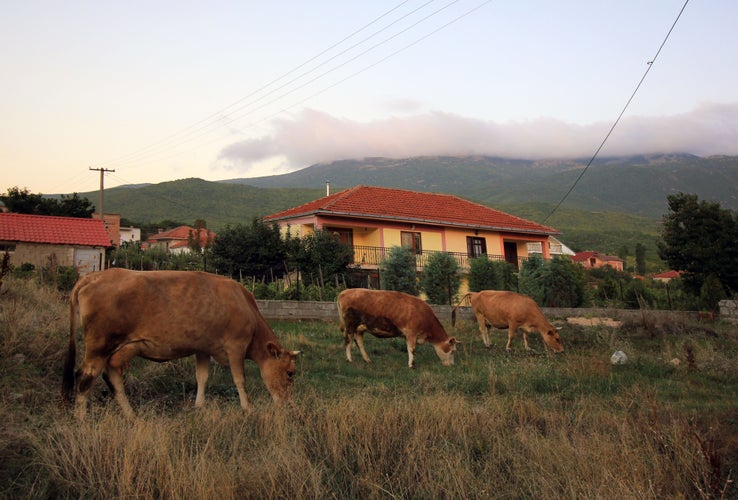 photo of view of My photo Collection of Korçë, a beautiful village in Albania.