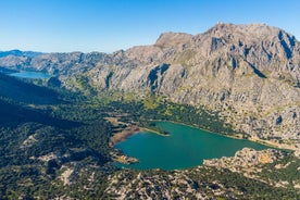 Train, tram and boat on the route of the Tramuntana lakes