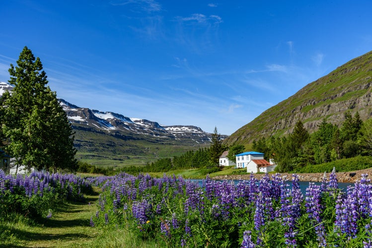 Sidefjordur, Iceland