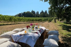 Tasting with welcome Aperitivo in the vineyard of organic wines