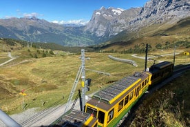 Zurich Jungfraujoch Top of Europe och Interlakens Region Tour