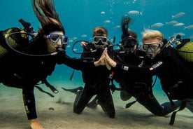 Découvrez la plongée sous-marine