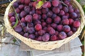 Cours de cuisine dans une maison de campagne sicilienne