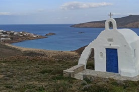 Einkarekstur um einkaferð um Mykonos eyju