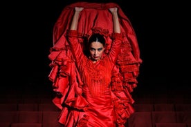 Ticket voor Flamencoshow in het theater van Madrid