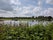 Brandon Marsh Nature Reserve, Brandon and Bretford CP, Rugby, Warwickshire, West Midlands, England, United Kingdom