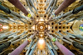 Private Barcelona and Sagrada Familia Tour with Hotel Pick-up