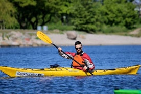 Single Seakayak Amager Beach