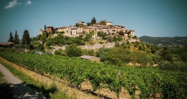 Vinsmagningsoplevelser in Chianti, i Italien