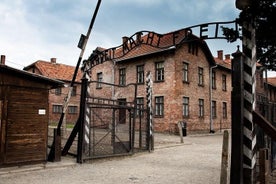 Dagtour naar Auschwitz-Birkenau en Wieliczka-zoutmijn vanuit Krakau