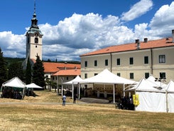 photo of aerial panoramic view of beautiful town of Lovran and sea walkway in Croatia.