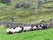 Killary Sheep Farm, Bunowen, Cushkillary ED, Conamara Municipal District, County Galway, Connacht, Ireland