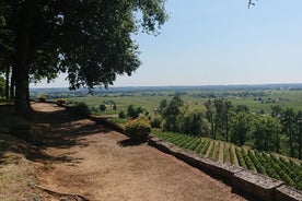 Un día en Saint-Émilion y sus castillos en un tour privado (Van Luxe)