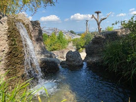 Zürich Zoo