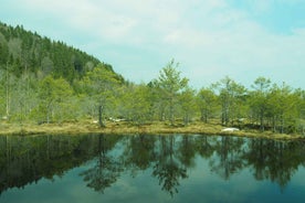 Frá Brasov: Lítill hópferð til eldfjallavatns