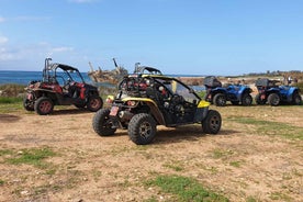 Paphos: Buggy Safari to Akamas Peninsula with Lunch