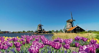 Tulips & Windmills (2025) (Amsterdam to Antwerp, 2025)