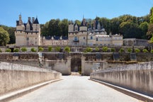 Los mejores paquetes de viaje en Rigny-Ussé, en Francia