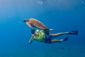 Båttur langs kysten av Benalmádena