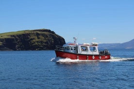 2-timers guidet mini-økotur på Dingle, Irland