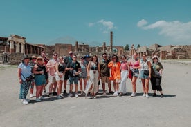 Visita Pompei e Vesuvio in un piccolo gruppo 