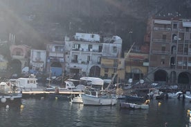 Amalfi Coast by boat + swimming on a private beach + optional seafood experience