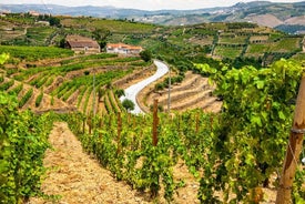 City Escape: Viagem Privada ao Vale do Douro