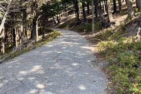 Vlora-Schnellboottour zum Nationalpark Sazan-Karaburun