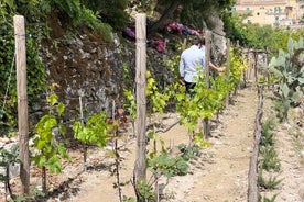 Rundgang durch die berauschenden Düfte unseres Gartens in Ragusa