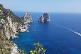 Tour di un'intera giornata a Capri da Roma con tour privato in barca dell'isola