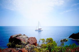 Catamaran trip with bath in the sea from the Port of Denia