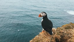 Nature & wildlife tours