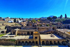 Skip the line Herculaneum Guided Tour from Sorrento