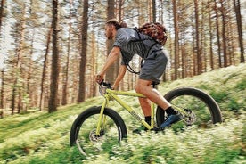 Tour en bicicleta por los pantanos y pantanos gordos en Visaginas