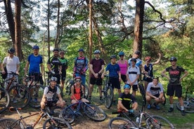 Tour regular en bicicleta de montaña al parque regional Pavilniai