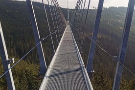 Tag im Himmel - Dolní Morava Sky 721 Bridge mit Mittagessen und Bobfahrt