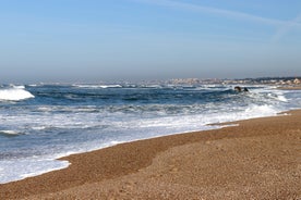 Vila Nova de Gaia - city in Portugal