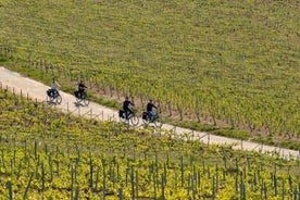 Desde Reims Tour por la tarde en bicicleta eléctrica, visita y degustación de champán.