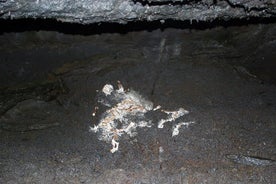 Lava Tunnel Caving with Transfer | Small Group