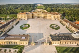 Biglietto per il Palazzo di Schönbrunn Vienna con pranzo di 2 portate