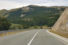 Trasferimento privato dall'aeroporto e dalla città di Podgorica a Žabljak