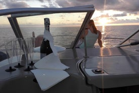 Croisière Privée d'observation des dauphins et des baleines - Île de Madère