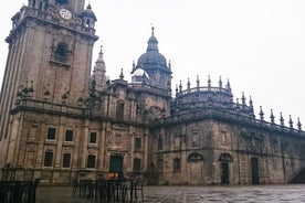 Tour Premium di Porto Santiago Compostela pranzo e degustazione di vini