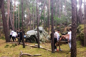 Bootcamp day surrounded by nature, intense and fun experience